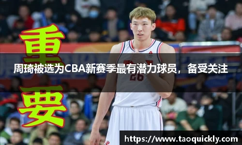 bsports登录入口
