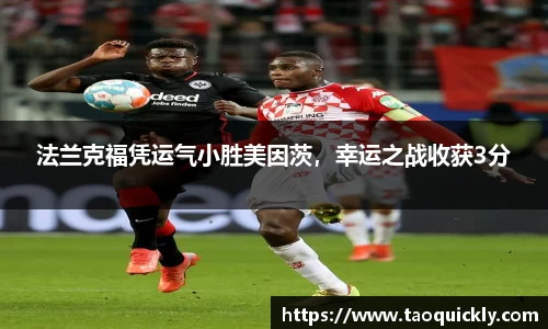 bsports登录入口