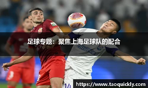 bsports官网入口