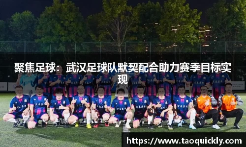 bsports登录入口