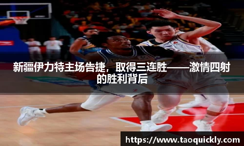 bsports登录入口