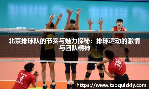 Bsports网页版