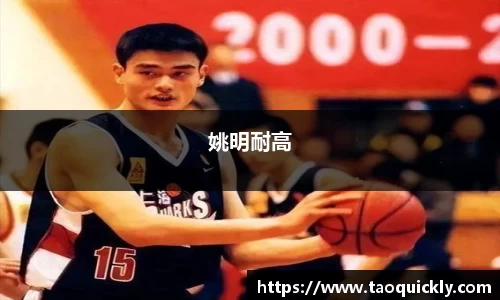 bsports登录入口