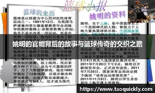 Bsports网页版