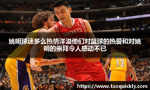 bsports官网入口