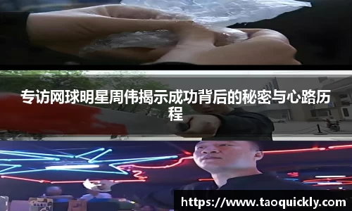 bsports登录入口