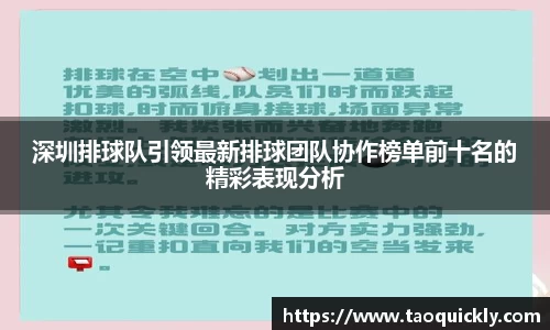 bsports登录入口