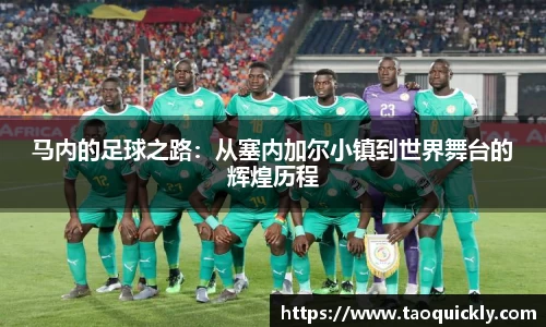 bsports登录入口
