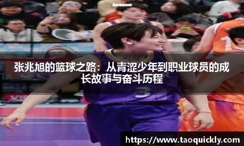 Bsports网页版