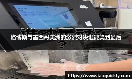 bsports登录入口