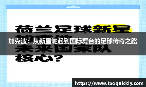 bsports官网入口