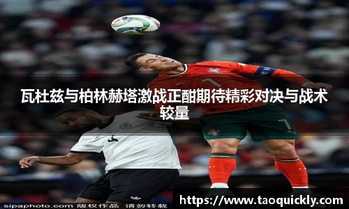 bsports登录入口