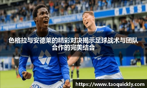 bsports登录入口