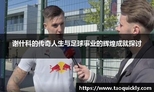 bsports登录入口