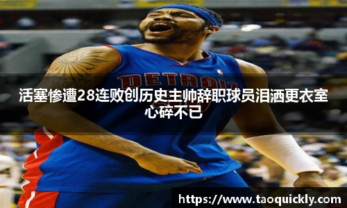 bsports登录入口
