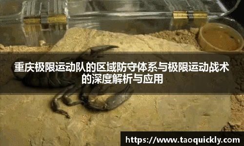 bsports官网入口